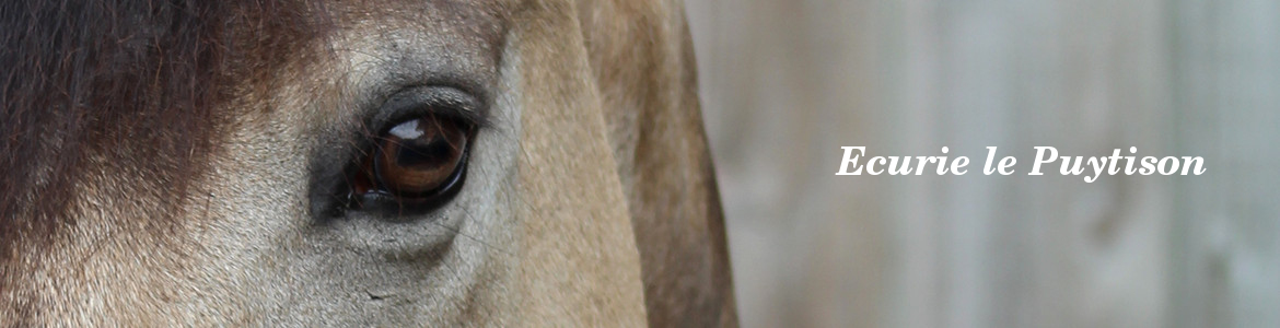 Ecurie le Puytison